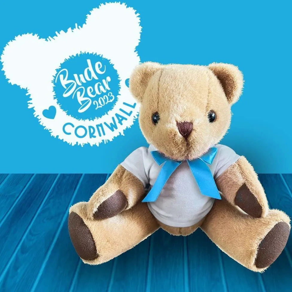 Teddy bear best sale with blue shirt