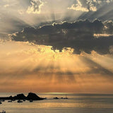 Shoreline Greetings Cards.