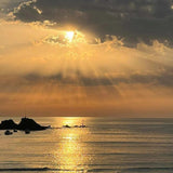 Shoreline Greetings Cards.