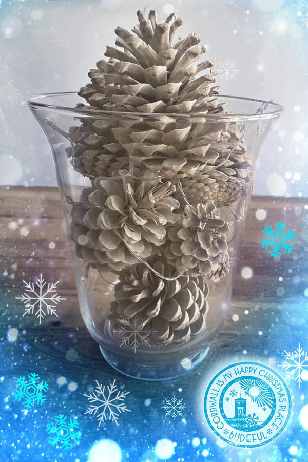 Holiday Season Hacks- Budeful Bleached Pine Cones