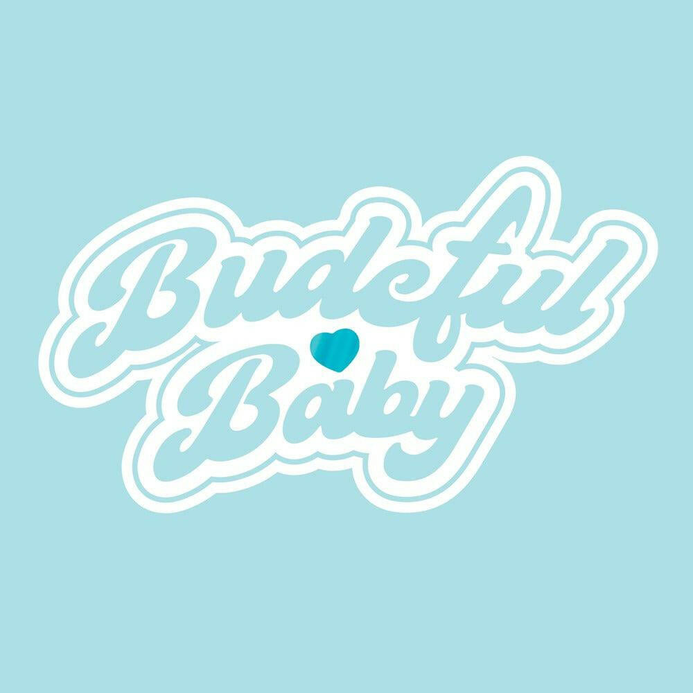 Budeful Baby Boy Greetings Card.